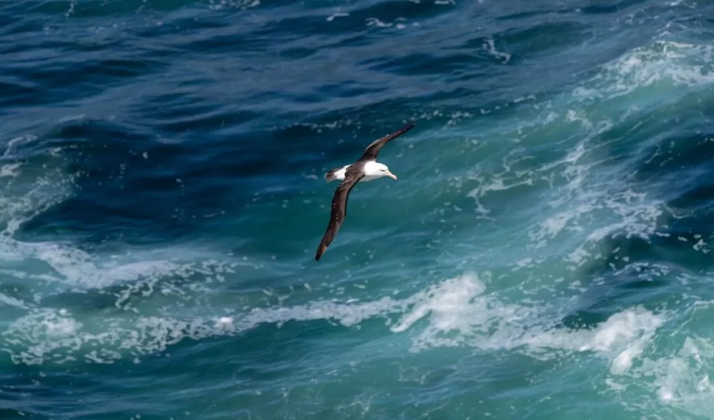 Cabo Frio terá ação no Dia Mundial de Limpeza de Rios e Praias