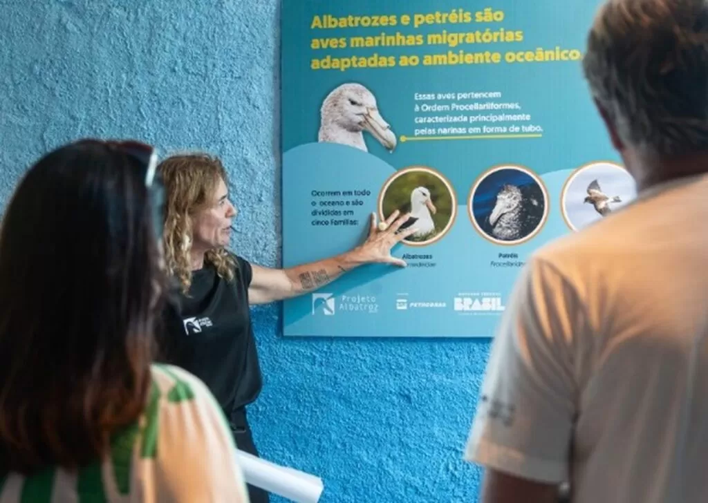 Projeto Albatroz celebra um ano do Centro de Visitação em Cabo Frio, RJ, com programação gratuita | Região dos Lagos