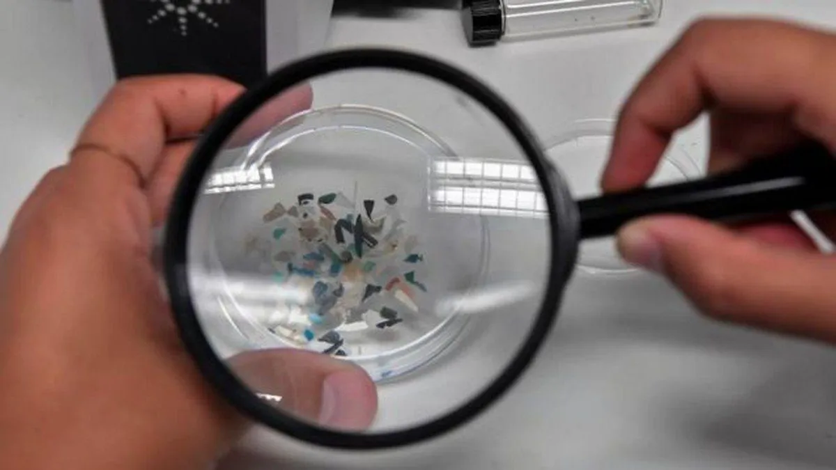 Microplásticos podem formar 'tampões' no cérebro, revela novo estudo; entenda | Ciência e Saúde